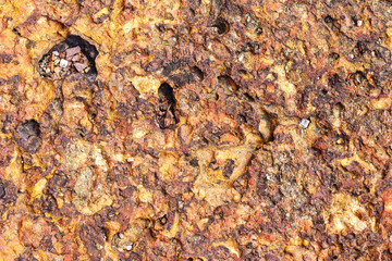 Texture of red stone background for design