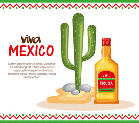 mexican culture cactus with tequila