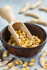 Soybeans in a clay bowl and pods on a gray concrete surface