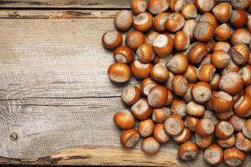 Hazelnuts heap on wood