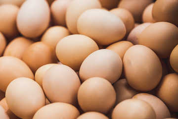 Lots of Brown Chicken Eggs