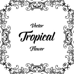 Vector tropical flower card hand draw illustration collection
