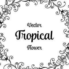 Obraz na płótnie Canvas Vector tropical flower card hand draw illustration collection