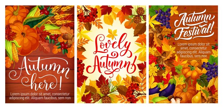 Autumn festival or party posters with fall harvest