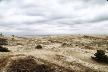 Beautiful view on sand dunes of the Curonian spit. Nida in Lithuania and Kaliningrad region in Russia