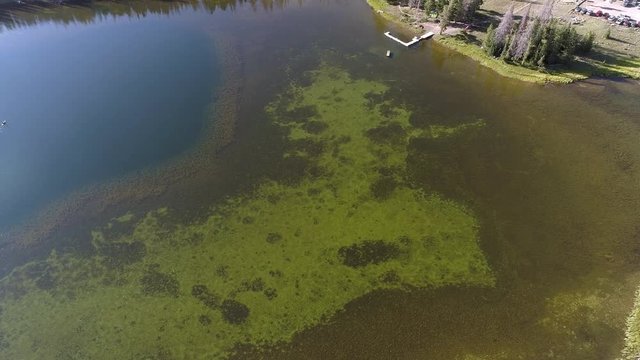 Flying over pond with green algae surround it with single boat floating in the middle of the lake.