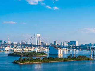 Beautiful cityscape with architecture building and rainbow bridge in tokyo city