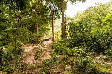 A typical view in Tayrona National Park Colombia