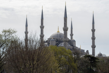 Fototapeta na wymiar Mosque Through the Trees