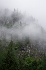 Fototapeta na wymiar Foggy Cliff