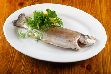 Steamed trout