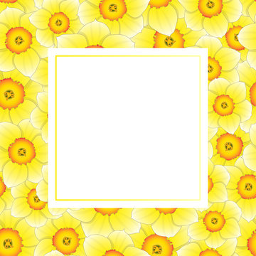 Yellow Daffodil - Narcissus Banner Card