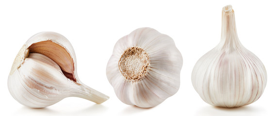Garlic Isolated on white