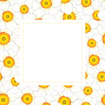 White Daffodil - Narcissus Banner Card