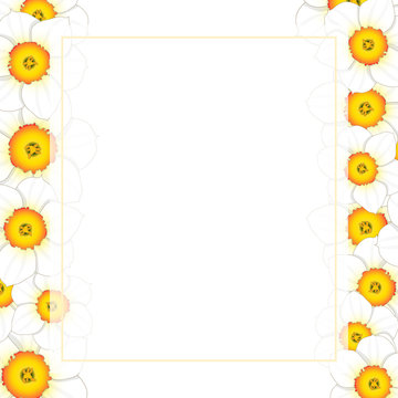 White Daffodil - Narcissus Flower Banner Card Border