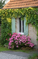 Fototapeta na wymiar Blumenfenster in Sancy les Meaux