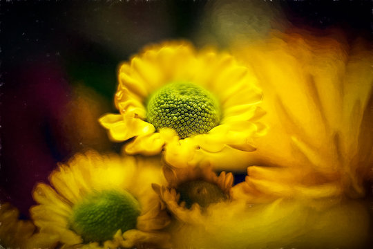 Beautiful macro flowers with blurry and dreamy background bokeh