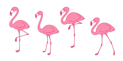 pink flamingo Cartoon vector set Cute flamingos collection Flamingo character animal exotic nature wild fauna illustration