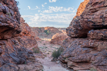 KIngs Canyon