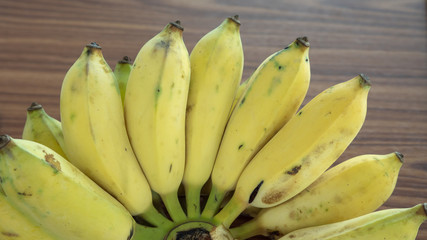 Cultivated banana