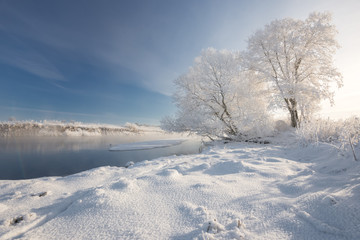 Fototapeta na wymiar Sunny Frosty Winter Morning. A Realistic Winter Belarusian Landscape With Blue Sky, Trees Covered With Thick Frost, A Small River And A Village On The Opposite Shore. Footprints In The Snow.