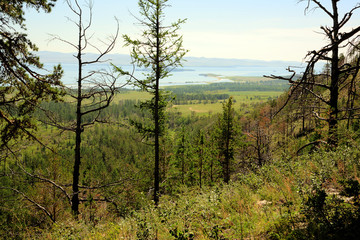 Obraz premium SONY DSC