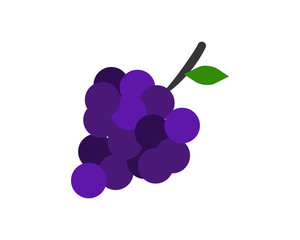wine grapes image vector icon logo symbol