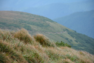 Beautiful view of the Carpathian mountains