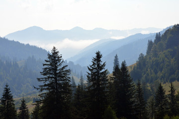 Beautiful view of the Carpathian mountains