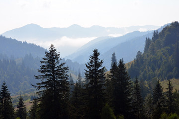 Fototapeta premium Piękny widok na Karpaty