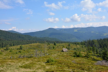 Fototapeta na wymiar Beautiful view of the Carpathian mountains