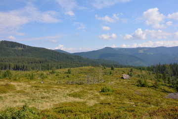 Beautiful view of the Carpathian mountains