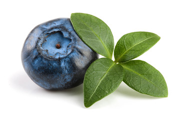 Single fresh blueberry with leaf isolated on white background