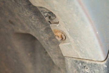 Rust bolt in the wheel panel