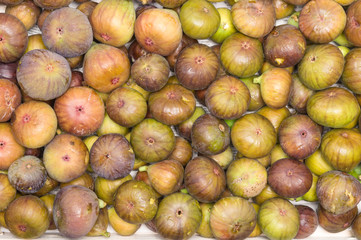 Figs on the branch