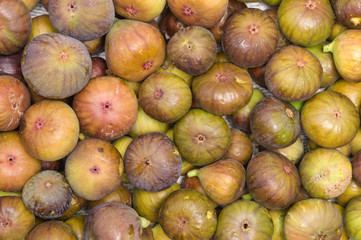 Figs on the branch