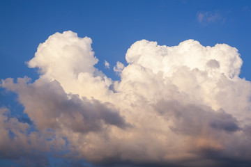 Cumulus clouds in the evening sky