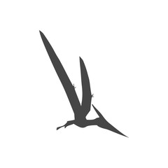 Pterodactyl icon, Vector drawing, Pteranodon bird © sljubisa