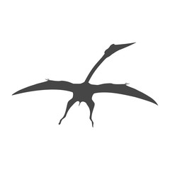 Pterodactyl icon, Vector drawing, Pteranodon bird © sljubisa