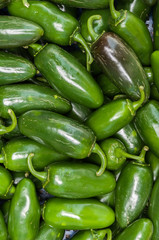 Green chili peppers