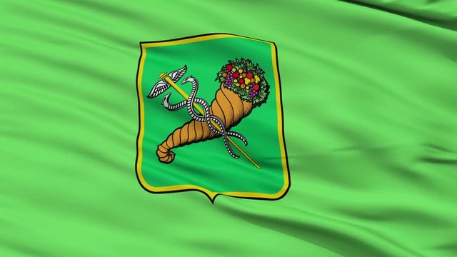 Как выглядит флаг харькова