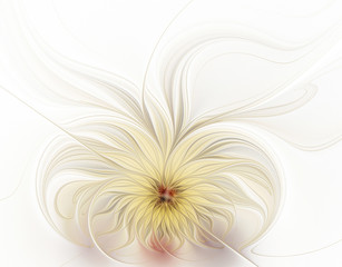 Beautiful fractal flower on a white background
