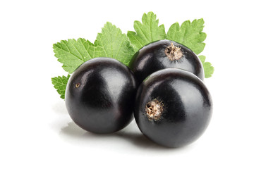 three black currant with leaf isolated on white background
