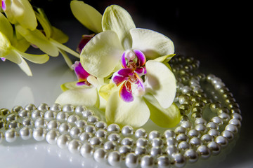 pearl and yellow orchid on a white glass 