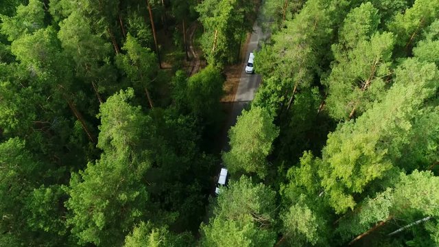 camera rises above forest follows traffic along road flashing trees
