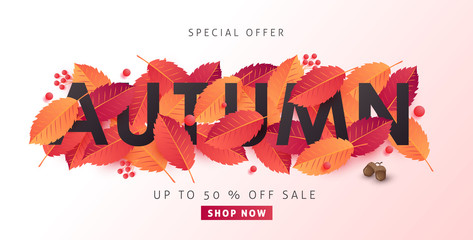 Autumn calligraphy background layout decorate with leaves for shopping or promo poster and frame leaflet or web banner.Vector illustration template.