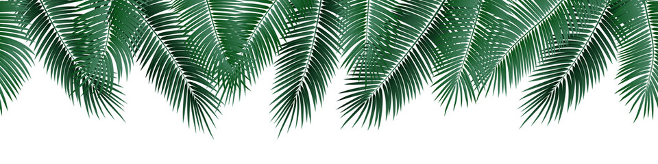 Vector seamless summer palm leaves on white background.