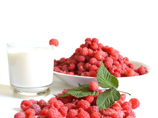 Path of scattered harvested red ripe juicy sweet fresh raspberry with twig on it and large full plate of berries next to glass of milk with berry on them. White background 