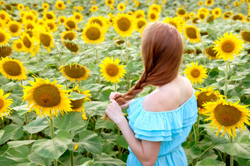 Redhead woman in sunflower field braiding braid