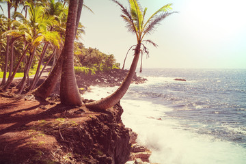 Hawaiian beach